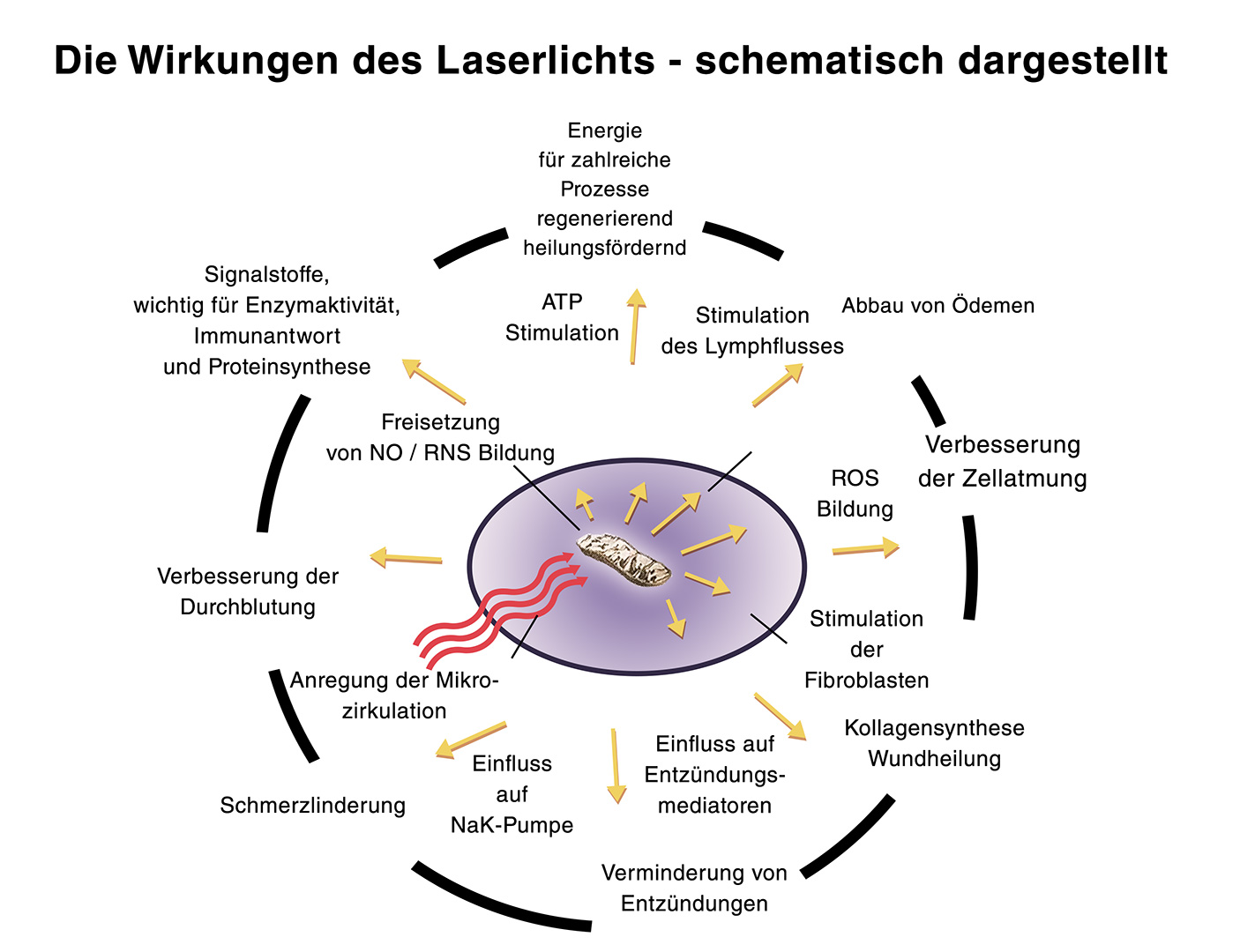 laser schema